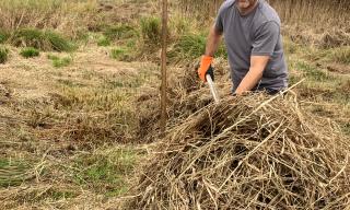 Mahd Nauer Eck Mahd Nauer Eck