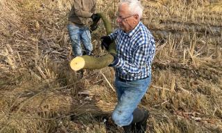 Entbuschung 28.02.2026