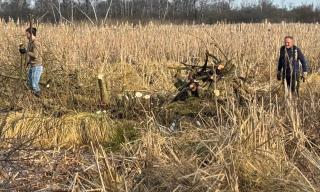 Entbuschung 28.02.2026