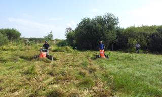 Biotoppflege 2018,  Streuwiesenmahd / - Schwadern