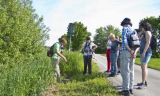 Riedführung "Wilhelmsfeld sportiv"