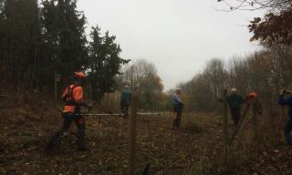 Biotop Laushalde November 2018 Biotop Laushalde November 2018