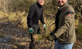 Entbuschung 28.02.2026