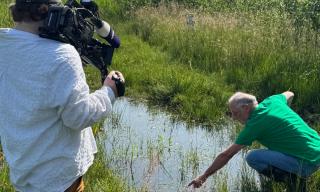 Das SWR Fernsehen zu Besuch im Donaumoos Das SWR Fernsehen zu Besuch im Donaumoos