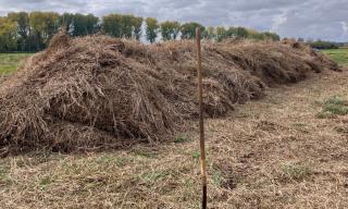 Mahd Nauer Eck Mahd Nauer Eck