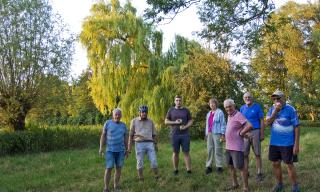 Abendradtour im Ried