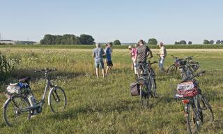 Abendradtour im Ried