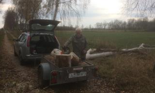 Gebietspflege - Baumsturz Gebietspflege - Baumsturz