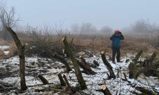 Entbuschung 31.01.2026