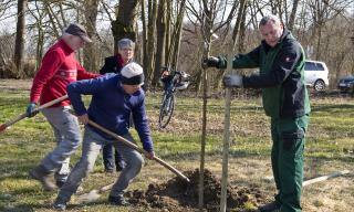 10 Obstbäume gepflanzt