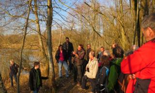 Entdeckungstour im Todholzschungel