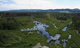 Vereinsausflug ins Pfrunger Ried Vereinsausflug ins Pfrunger Ried