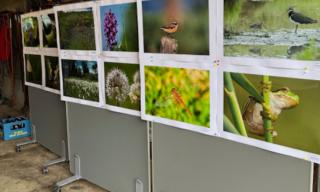 Tag der Artenvielfalt Tag der Artenvielfalt