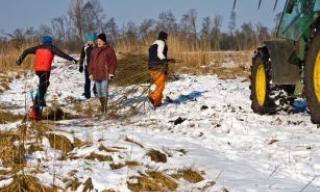 Eiszeit im Torfstich