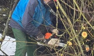 Entbuschung 31.01.2026