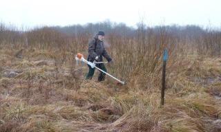 Aquatischer Einsatz Aquatischer Einsatz