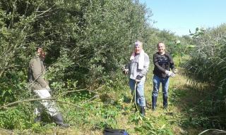 Springkrauteinsatz Teil 1 im Herzen des Rieds