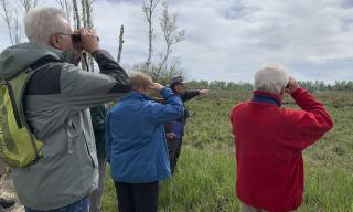 Das Langenauer Ried - ein Moor zum Verlieben
