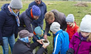 Familienexkursion im "Langenauer Ried"