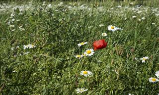Sachstand 10.06.19 Sachstand 10.06.19