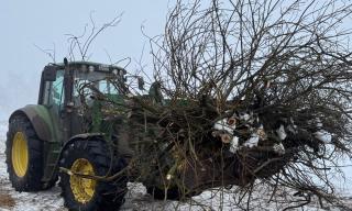 Entbuschung 31.01.2026