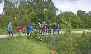 Pflanzenvielfalt im Niedermoor