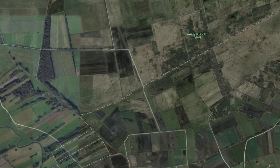Luftaufnahme Langenauer Ried