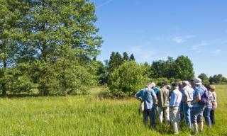 Vereinsexkursion ins Oberhauser Ried Vereinsexkursion ins Oberhauser Ried