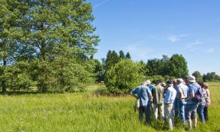 Vereinsexkursion ins Oberhauser Ried