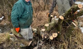 Entbuschung 07.02.2026