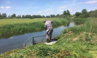 Wassereinlaufwerk zusätzliches Feinsieb