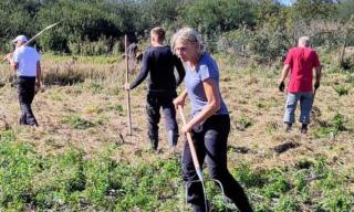 Streuwiesenmahd und Abräumen 19. und 26.09.2026