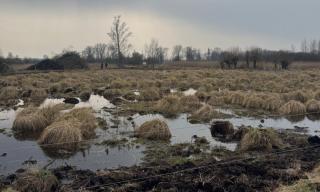 Veranstaltung mit den NaturFreunden Deutschland