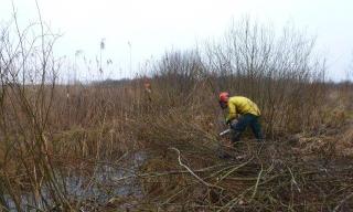 Aquatischer Einsatz Aquatischer Einsatz