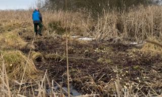 Entbuschung 07.02.2026