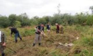 Abräumen des Heus im Naturschutzgebiet