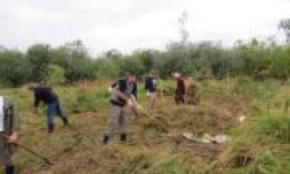 Abräumen des Heus im Naturschutzgebiet