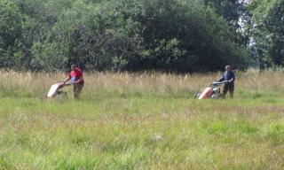 Streuwiesenmahd im Naturschutzgebiet begonnen