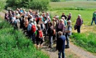 Orchideenführung im Naturschutzgebiet Orchideenführung im Naturschutzgebiet
