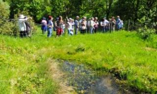 Pfingsten in der Laushalde Pfingsten in der Laushalde