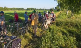 Abendradtour ins Ried Abendradtour ins Ried