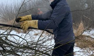 Entbuschung 31.01.2026