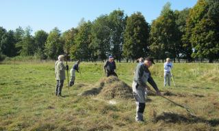 Streuwiesen-Biotoppflege NSG - Abräumen des Heus am 21.09.19 erledigt Streuwiesen-Biotoppflege NSG - Abräumen des Heus am 21.09.19 erledigt