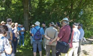 Vereinsexkursion ins Oberhauser Ried