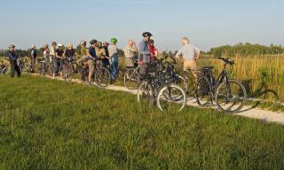 Abendradtour im Ried