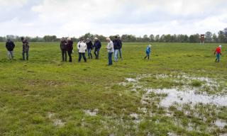 Familienexkursion im "Langenauer Ried"