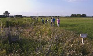 Abendradtour ins Ried Abendradtour ins Ried